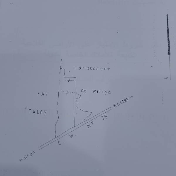 Lot de terrain pour promotion Immobilière