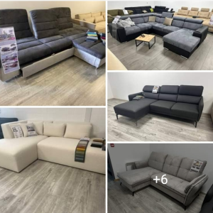 Home Sofas - Jusqu'à 500€ de remise sur les modèles d'exposition.