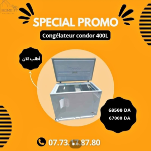 Congélateur vitré marque géant 254L