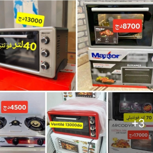15000 DA: microonde RAYLAN 20L